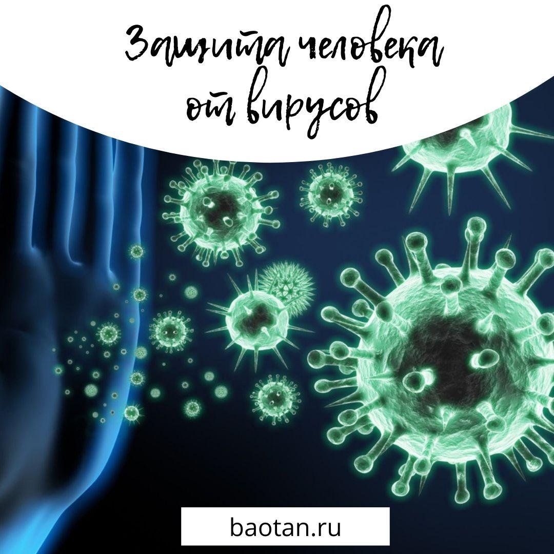 защита человека от вирусов- baotan.ru